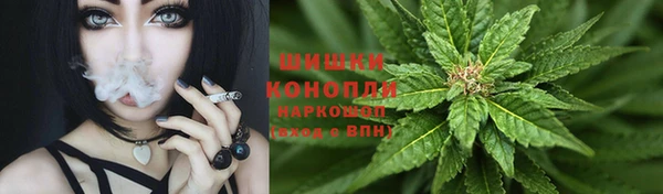 мяу мяу мука Кодинск