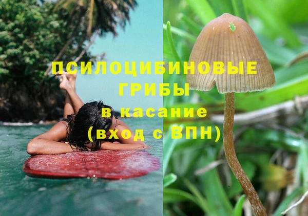 СК Козельск